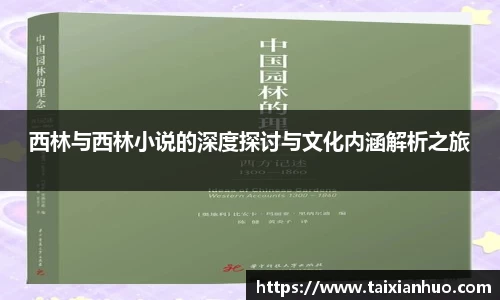 西林与西林小说的深度探讨与文化内涵解析之旅